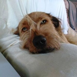 Meet your Posher, Ron